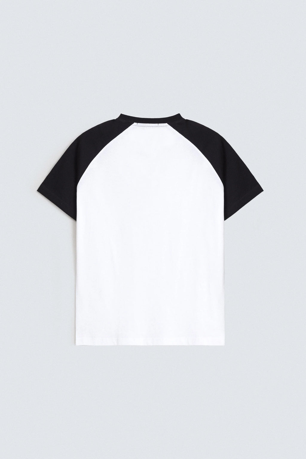 Color Block Raglan T-Shirt