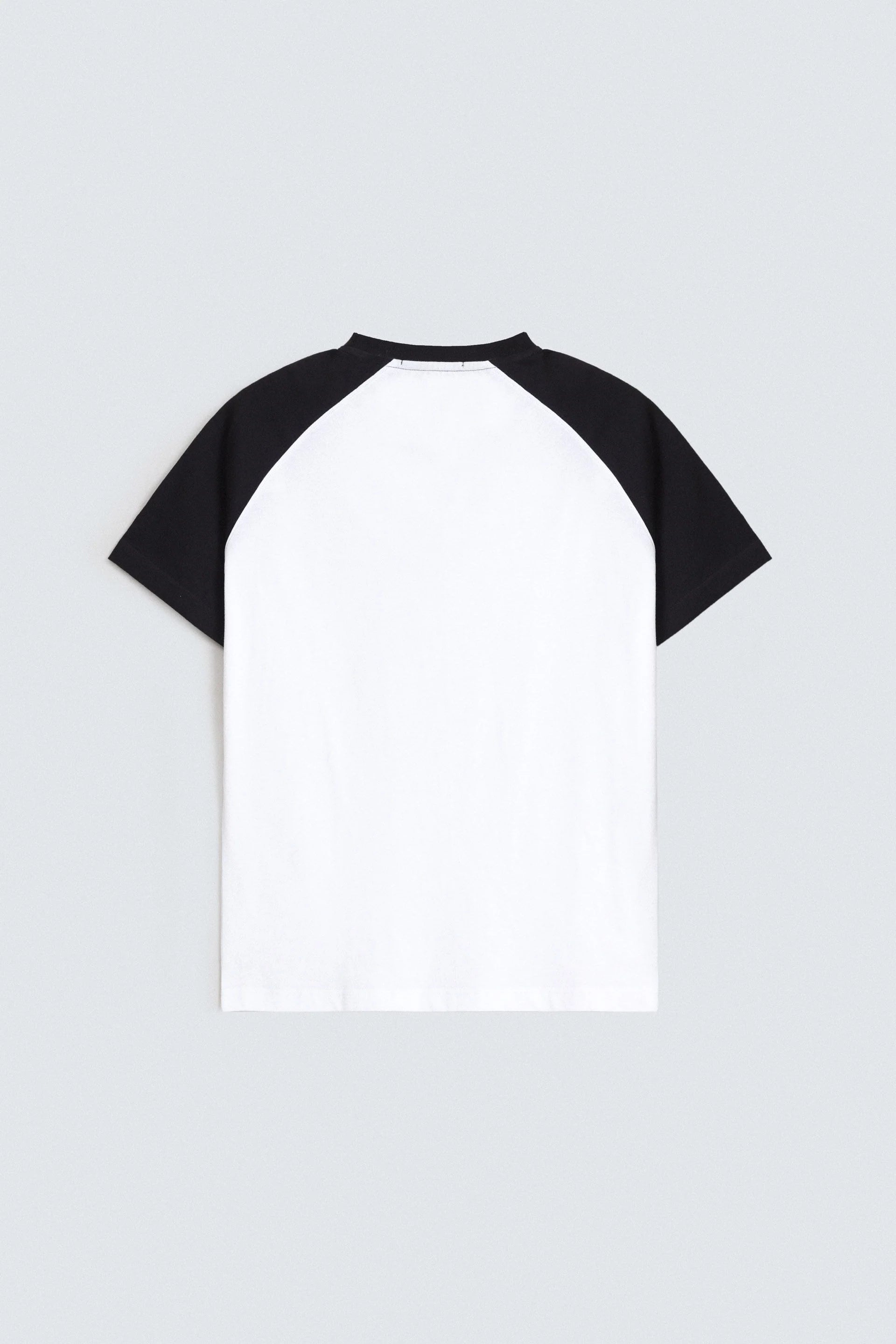 Color Block Raglan T-Shirt